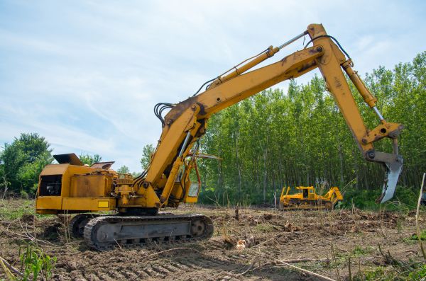 Farm Clearing in State College