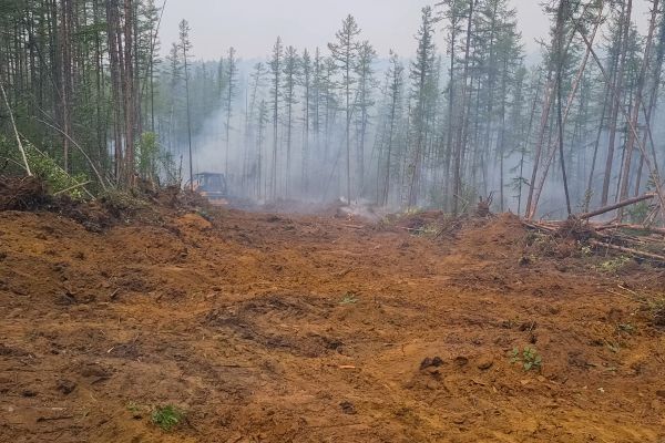 Hill Clearing in State College