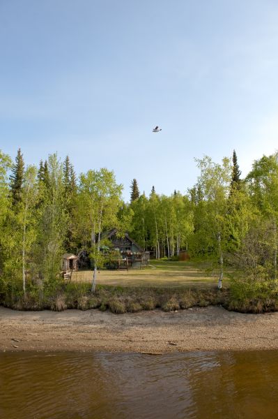 Waterfront Land Clearing in State College