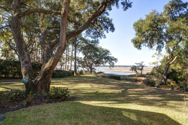 Lakefront Property Clearing in State College