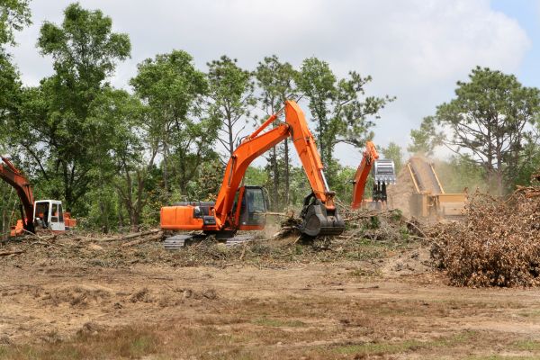 Commercial Lot Clearing in State College