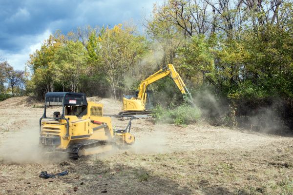 Terrain Clearing in State College