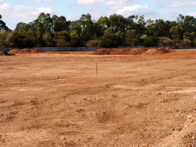 Site Before Clearing