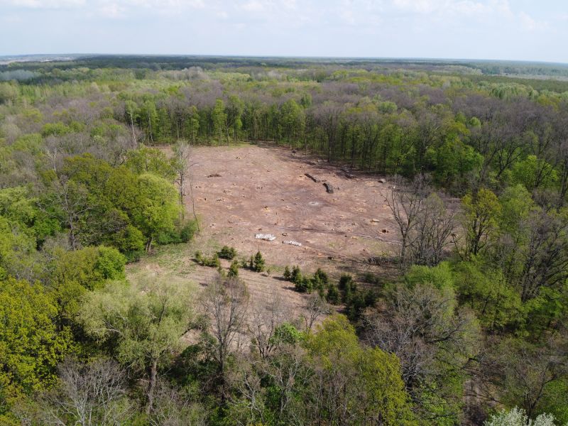 Post-Clearing Land Condition